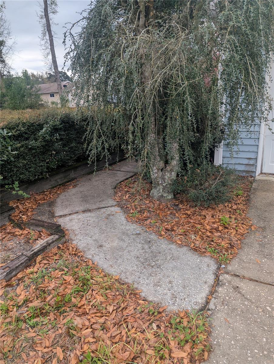 Image 2 of 67 For 10816 83rd Avenue