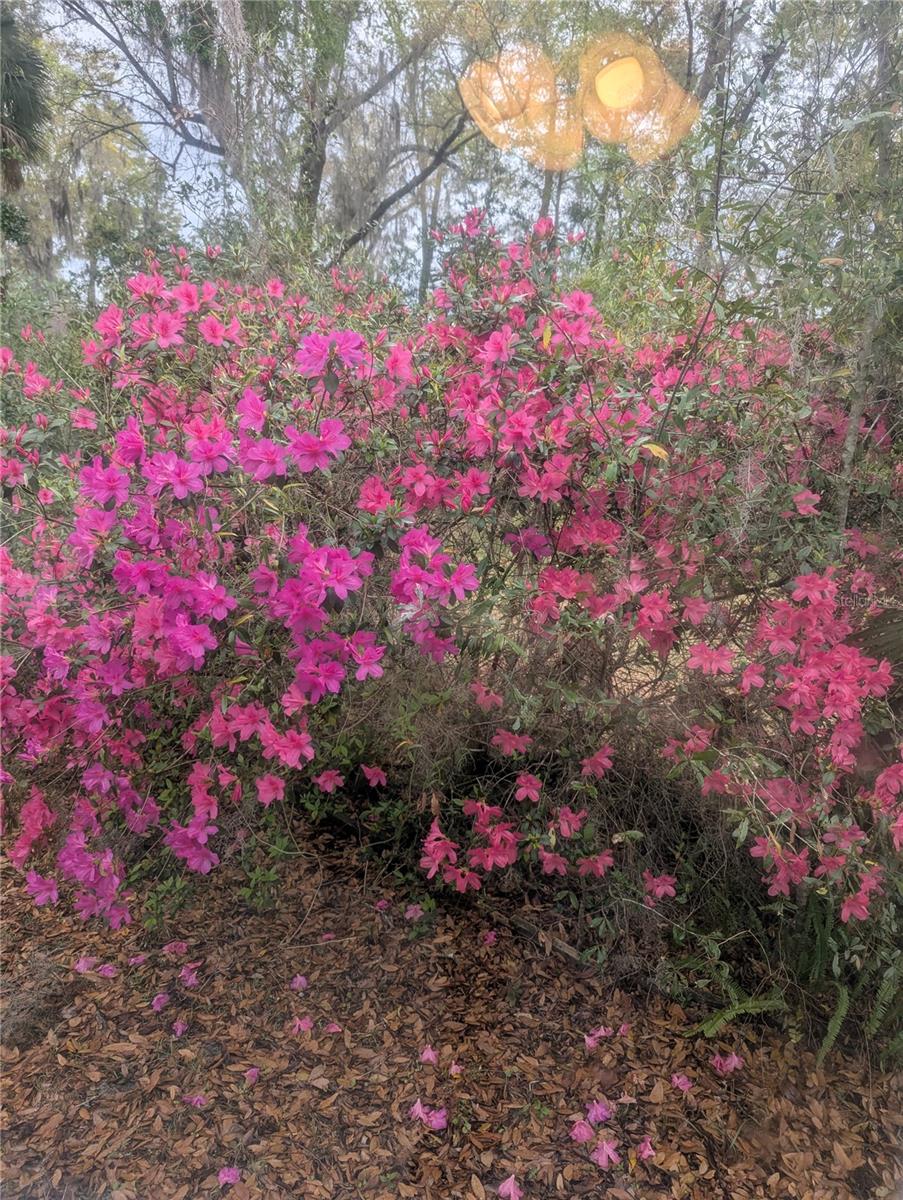 Image 26 of 67 For 10816 83rd Avenue