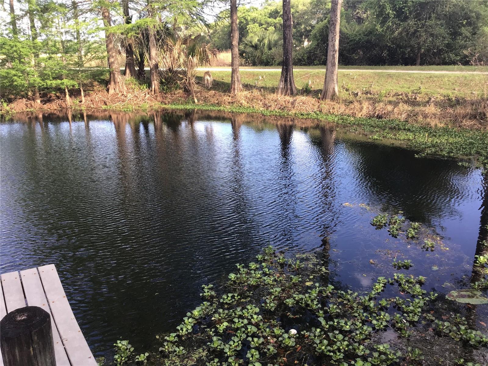 Image 19 of 48 For 12451 115th Avenue