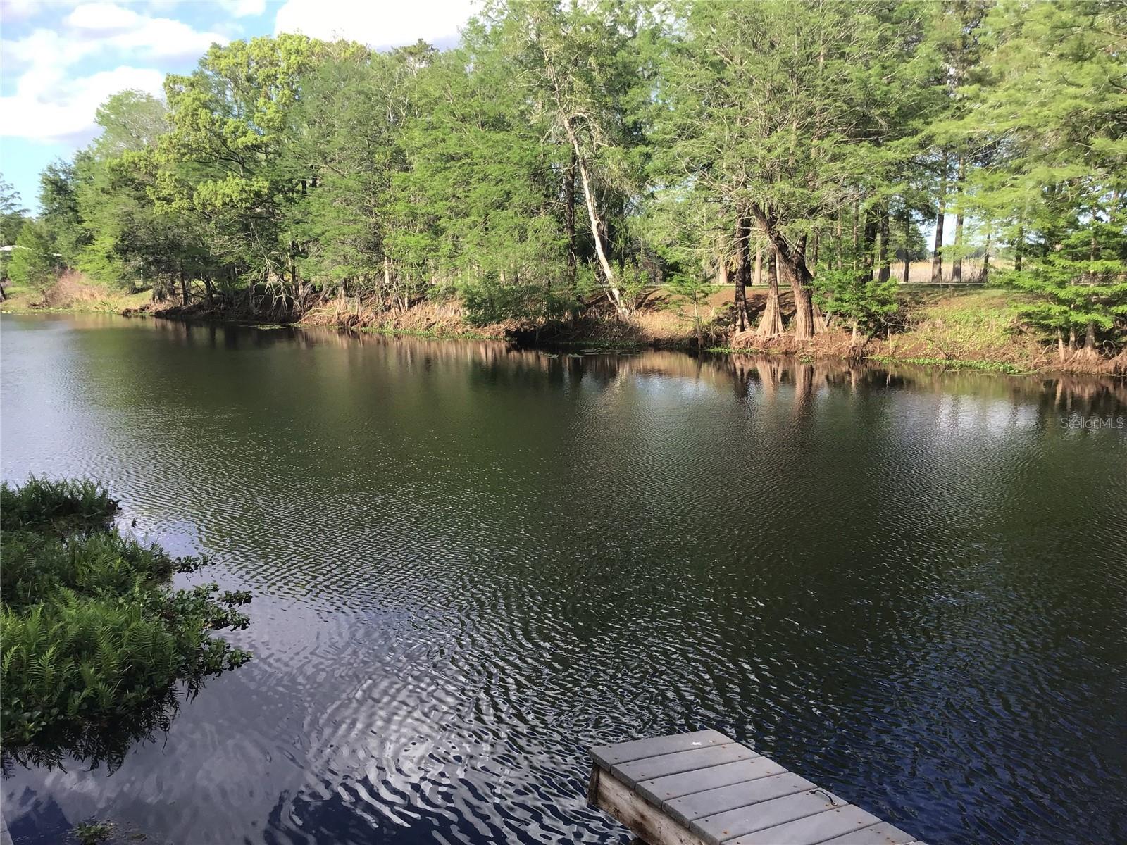 Image 20 of 48 For 12451 115th Avenue