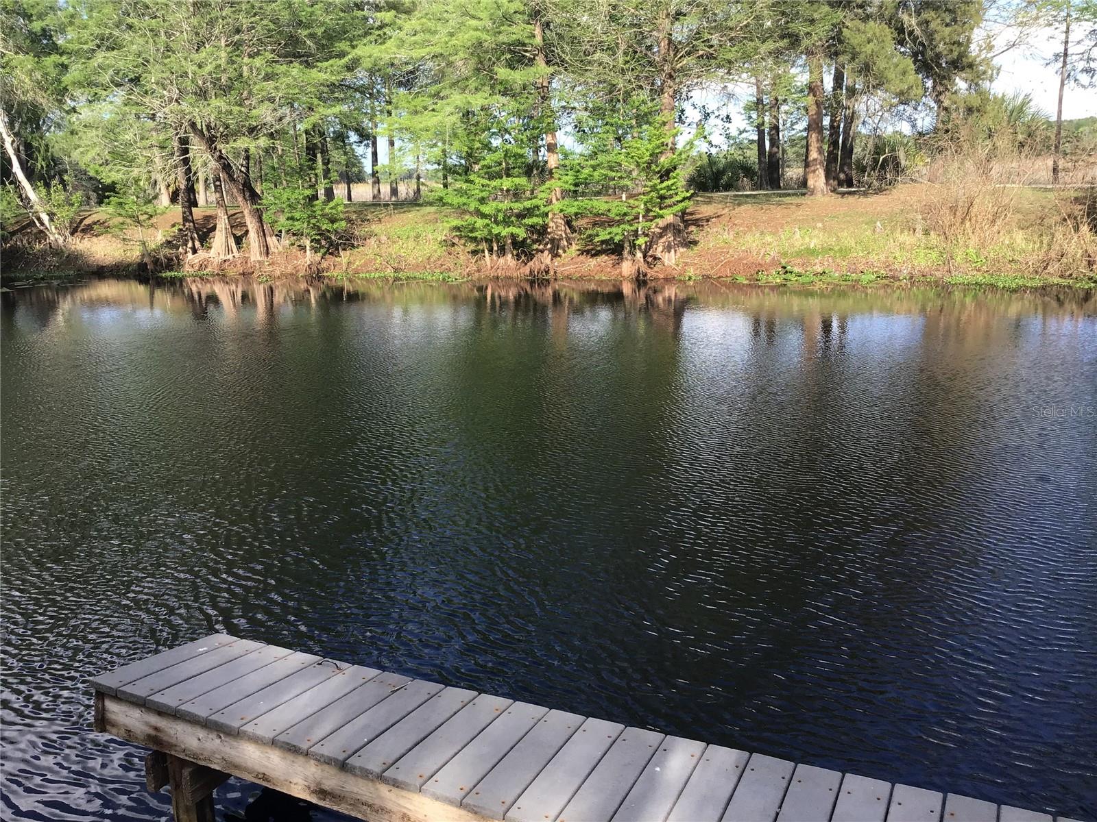 Image 21 of 48 For 12451 115th Avenue