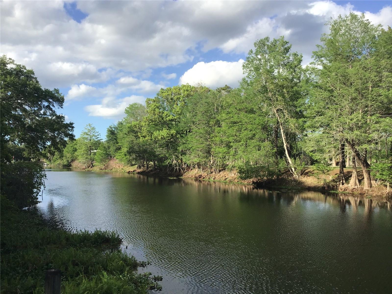 Image 22 of 48 For 12451 115th Avenue