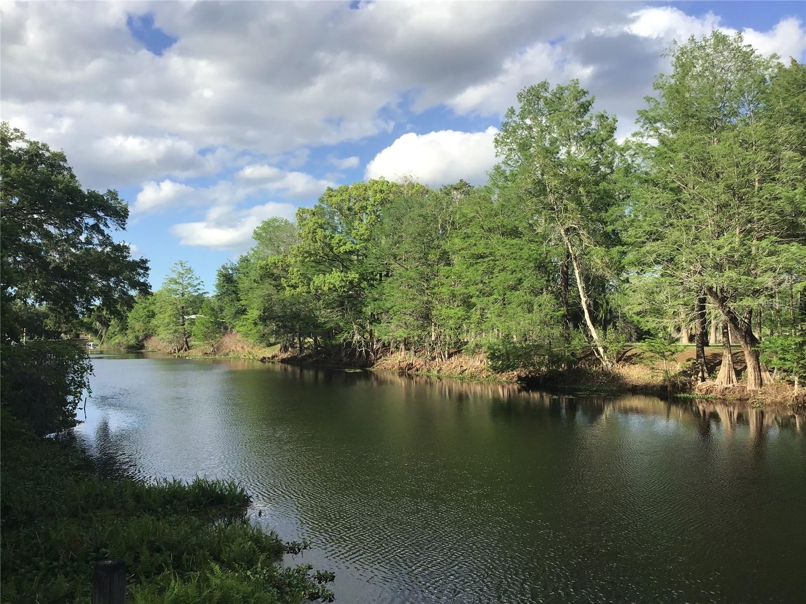 Image 23 of 48 For 12451 115th Avenue