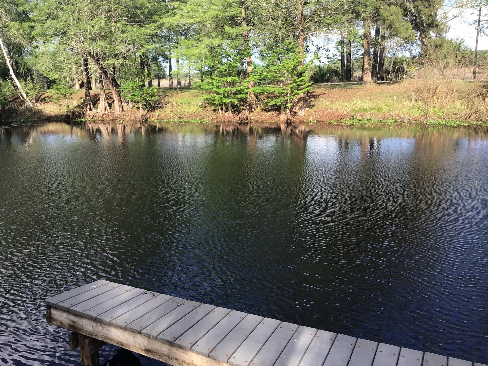 Image 24 of 48 For 12451 115th Avenue