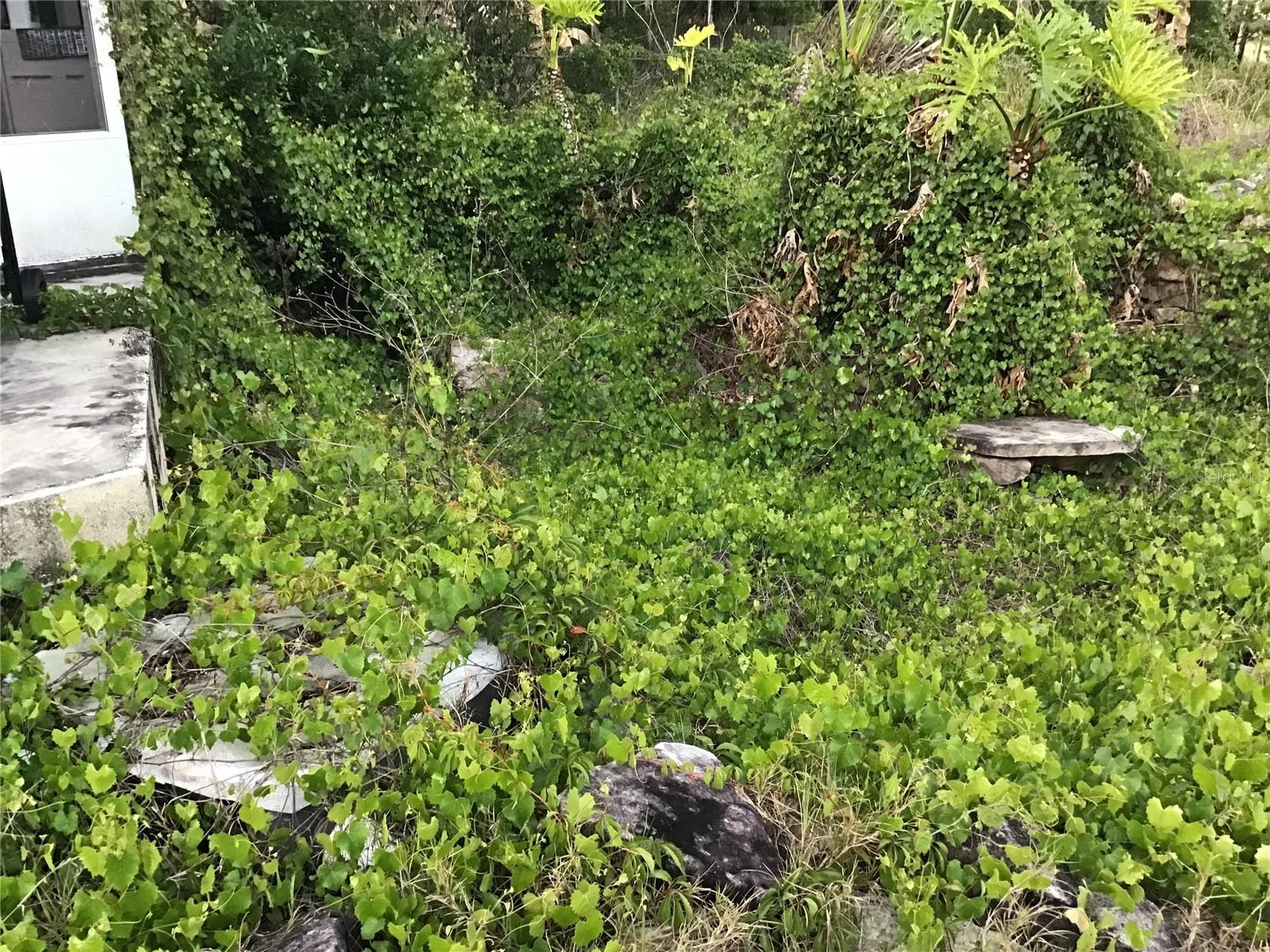 Image 46 of 48 For 12451 115th Avenue