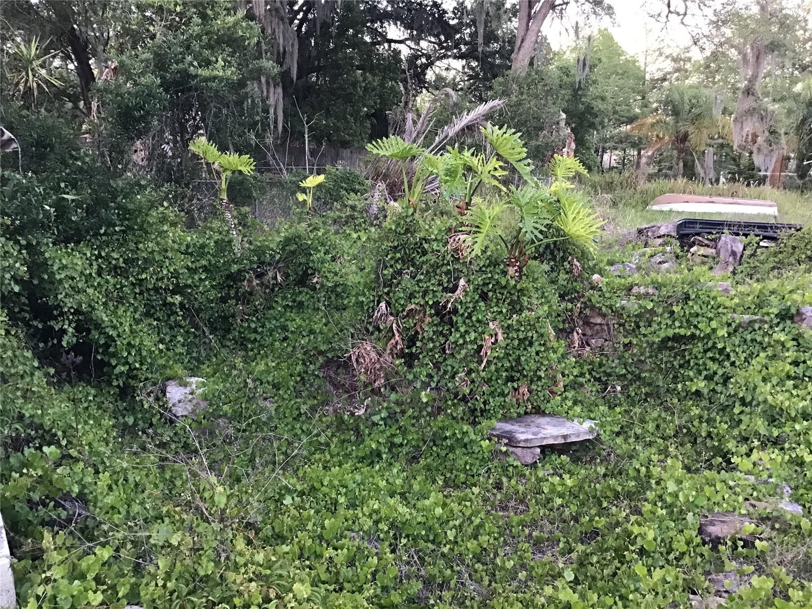 Image 47 of 48 For 12451 115th Avenue