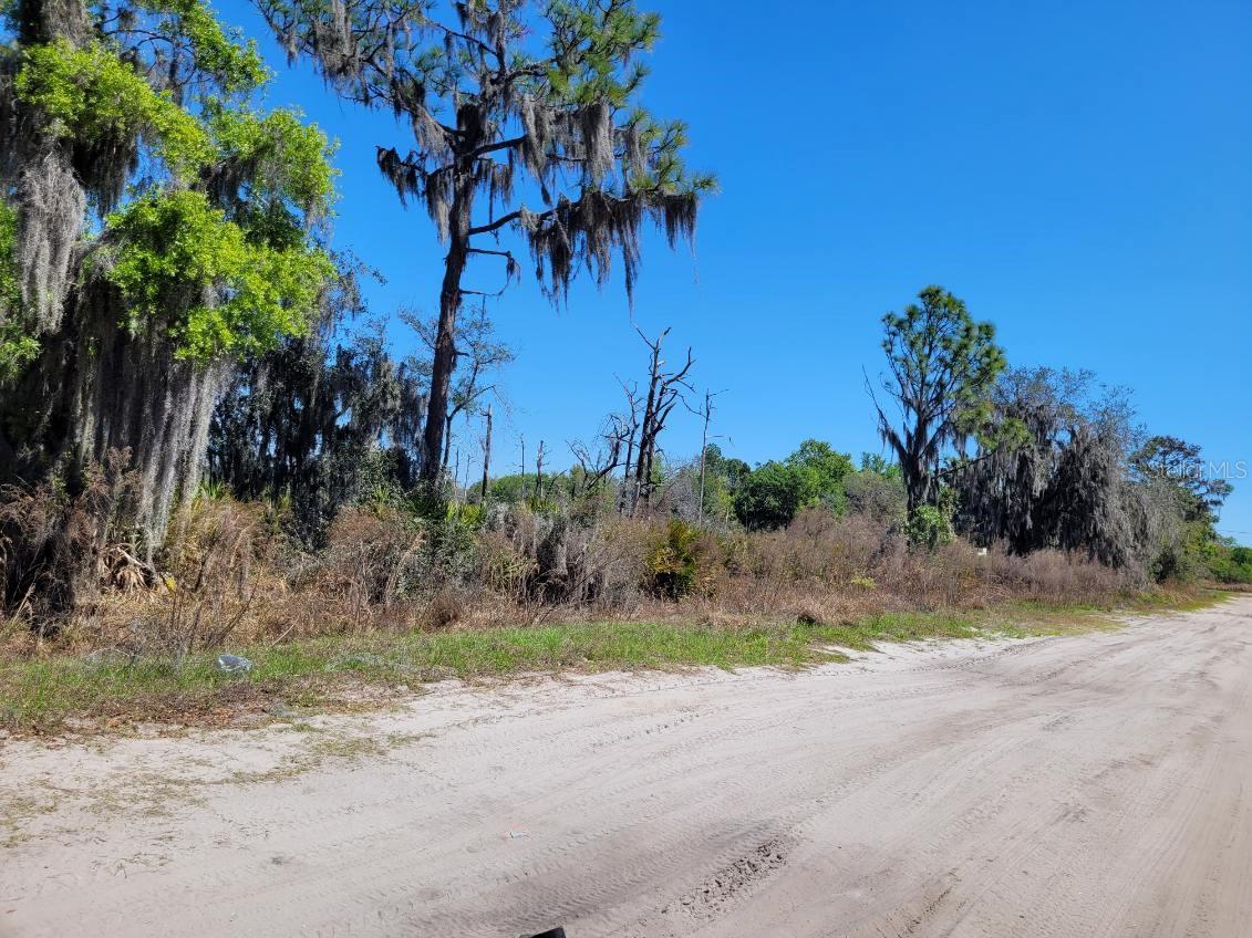 Image 11 of 21 For 0 Greyhound Avenue