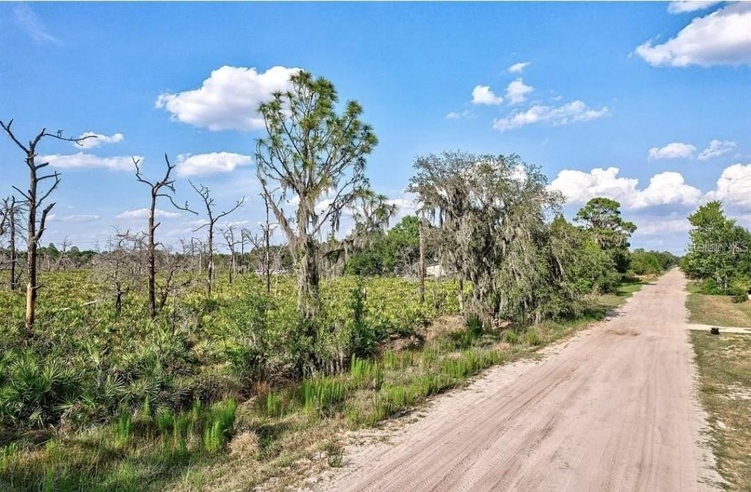 Image 13 of 21 For 0 Greyhound Avenue