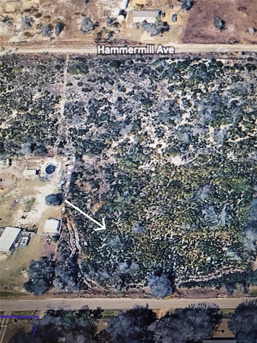 Image 17 of 21 For 0 Greyhound Avenue