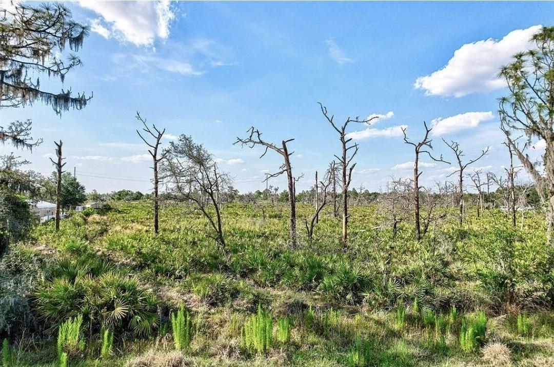 Image 5 of 21 For 0 Greyhound Avenue