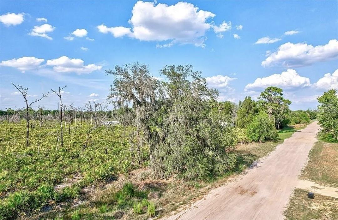 Image 6 of 21 For 0 Greyhound Avenue