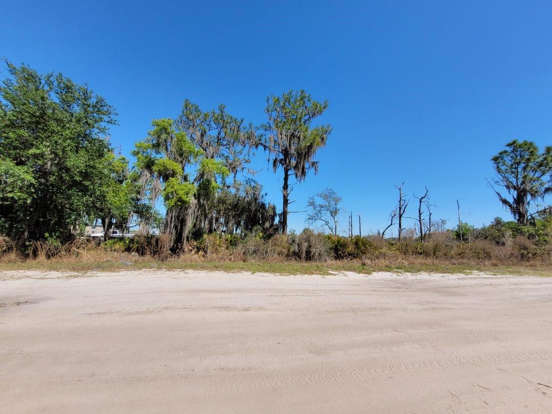 Image 8 of 21 For 0 Greyhound Avenue