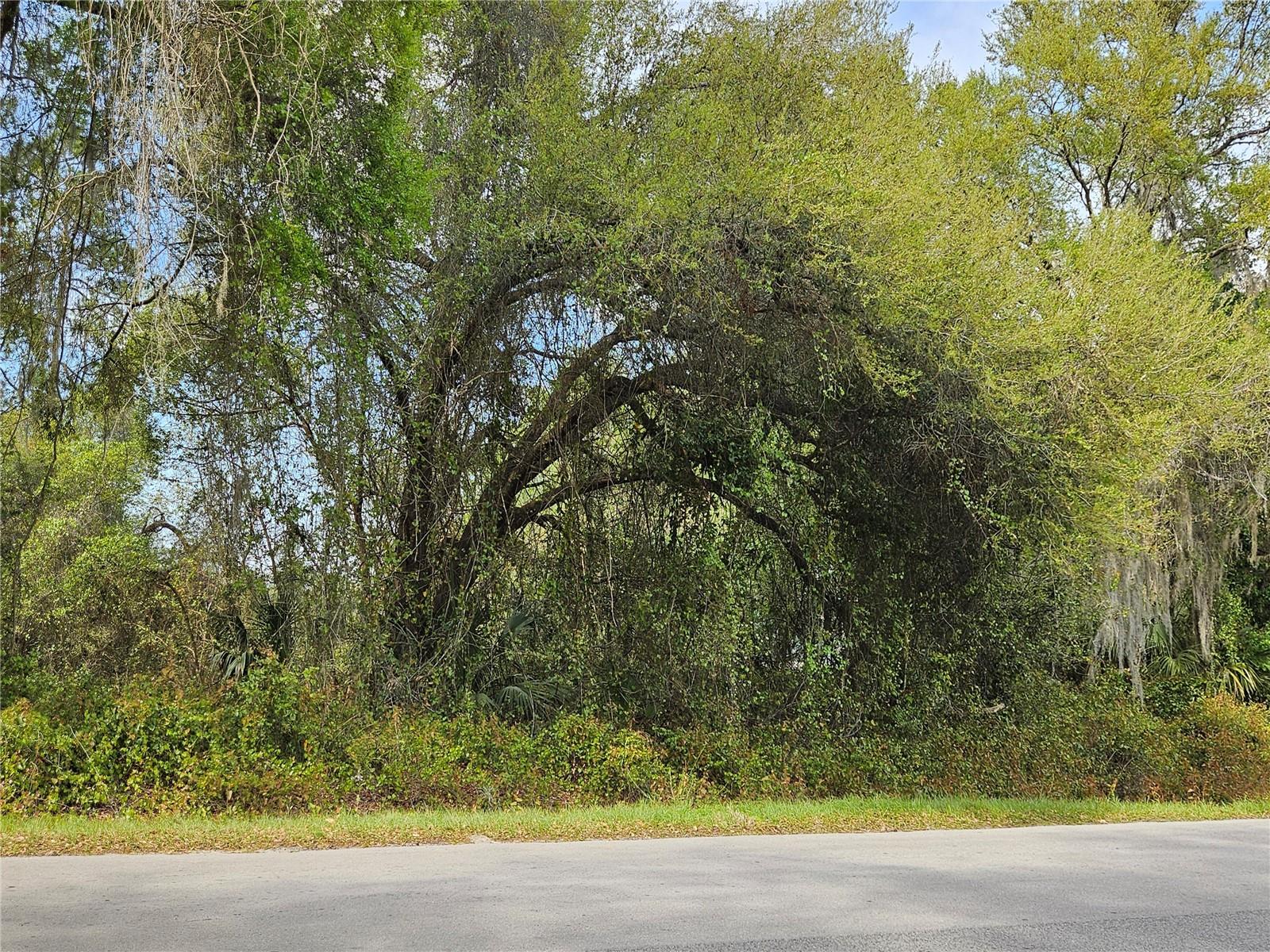 Image 4 of 6 For Lot 14 Locust Run Course
