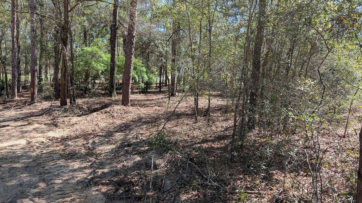 Image 4 of 11 For 129th Terrace