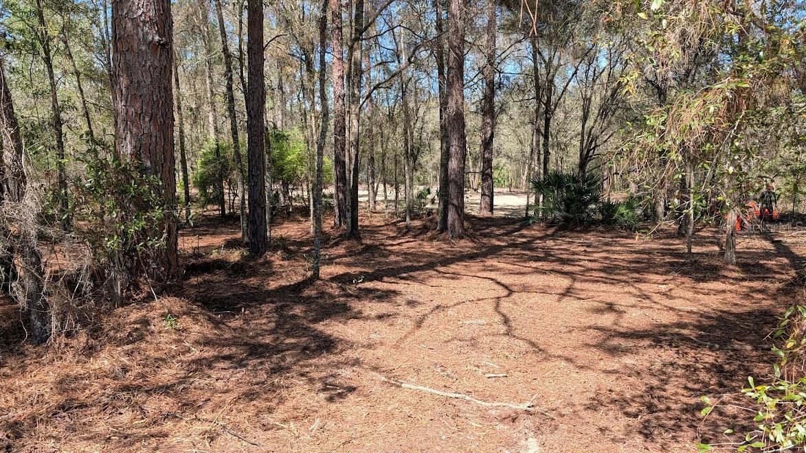 Image 7 of 11 For 129th Terrace