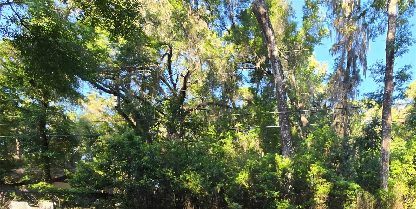 Image 2 of 4 For  Se 28th Ct.  