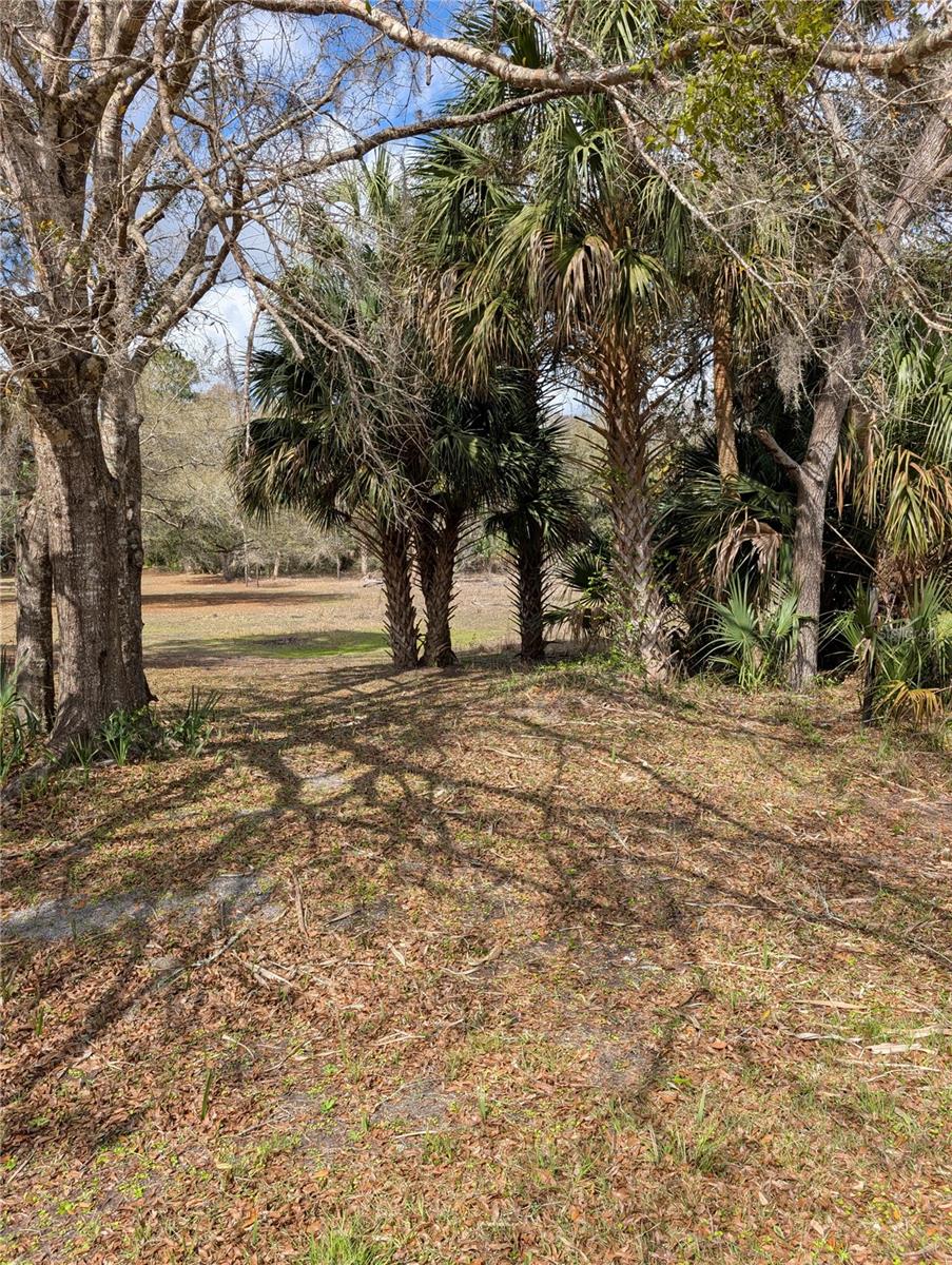 Image 2 of 3 For Lorie Street