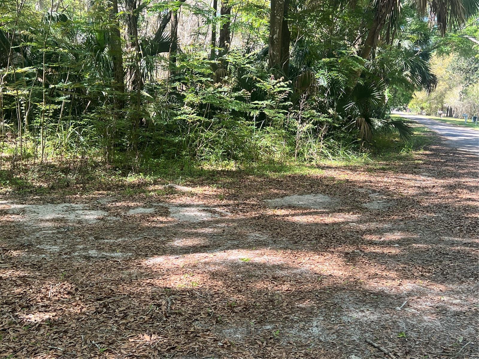Details for  Tbd  , WILLISTON, FL 32696
