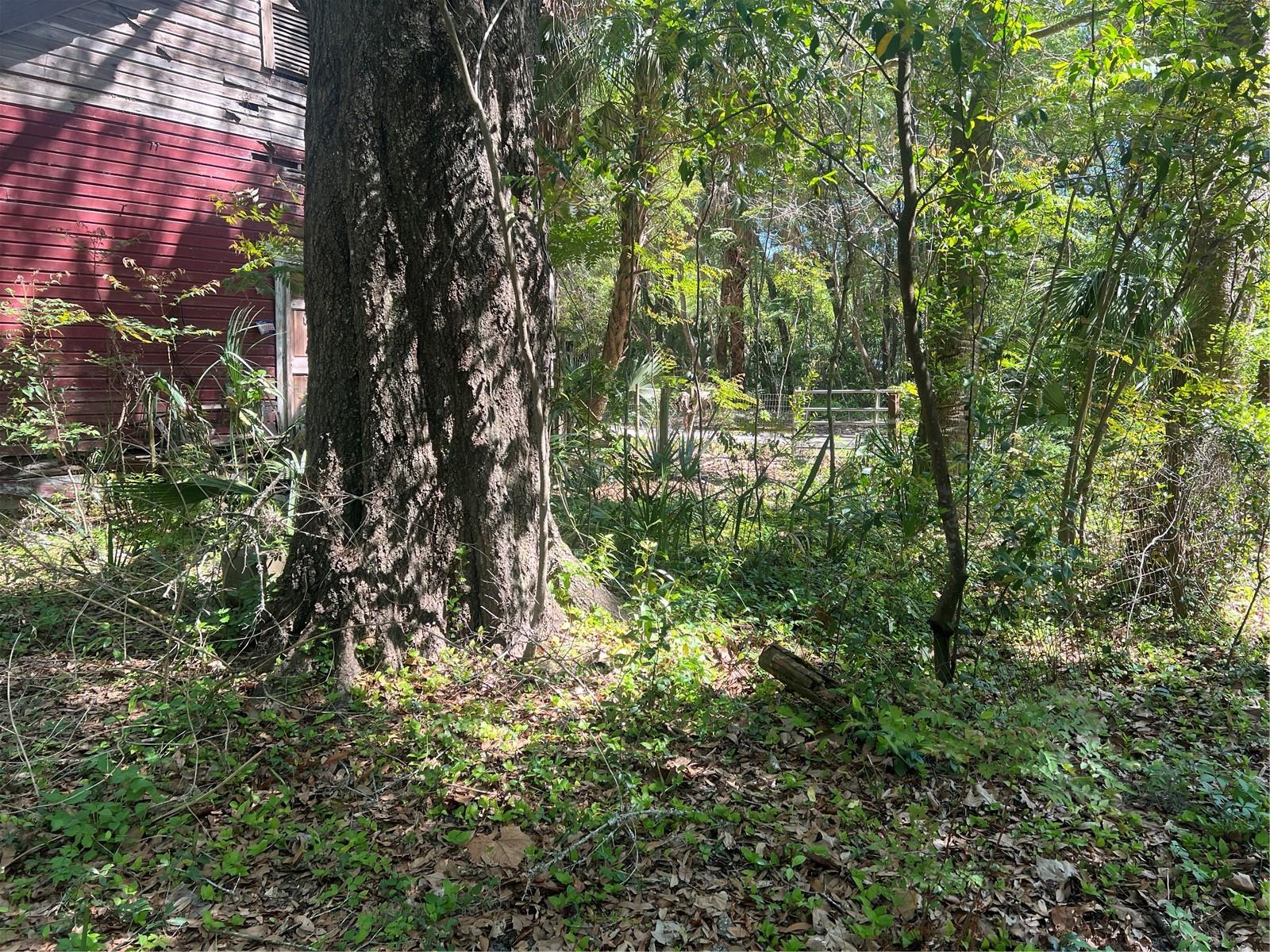 Image 3 of 8 For  Tbd  