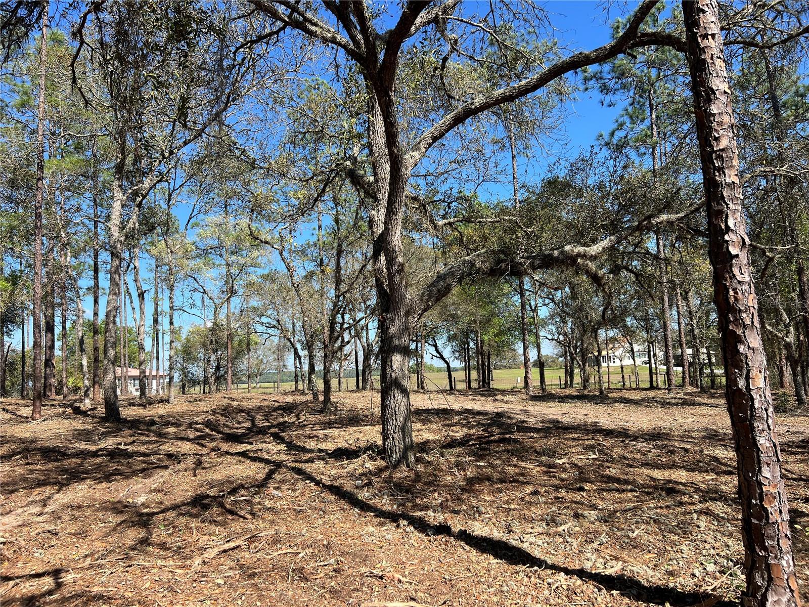 Image 10 of 27 For Lot 25 Timberlake Road