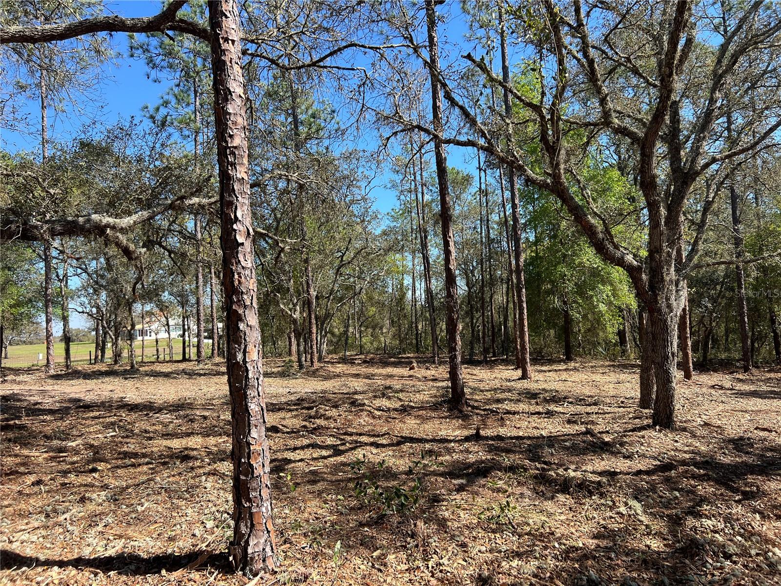 Image 11 of 27 For Lot 25 Timberlake Road