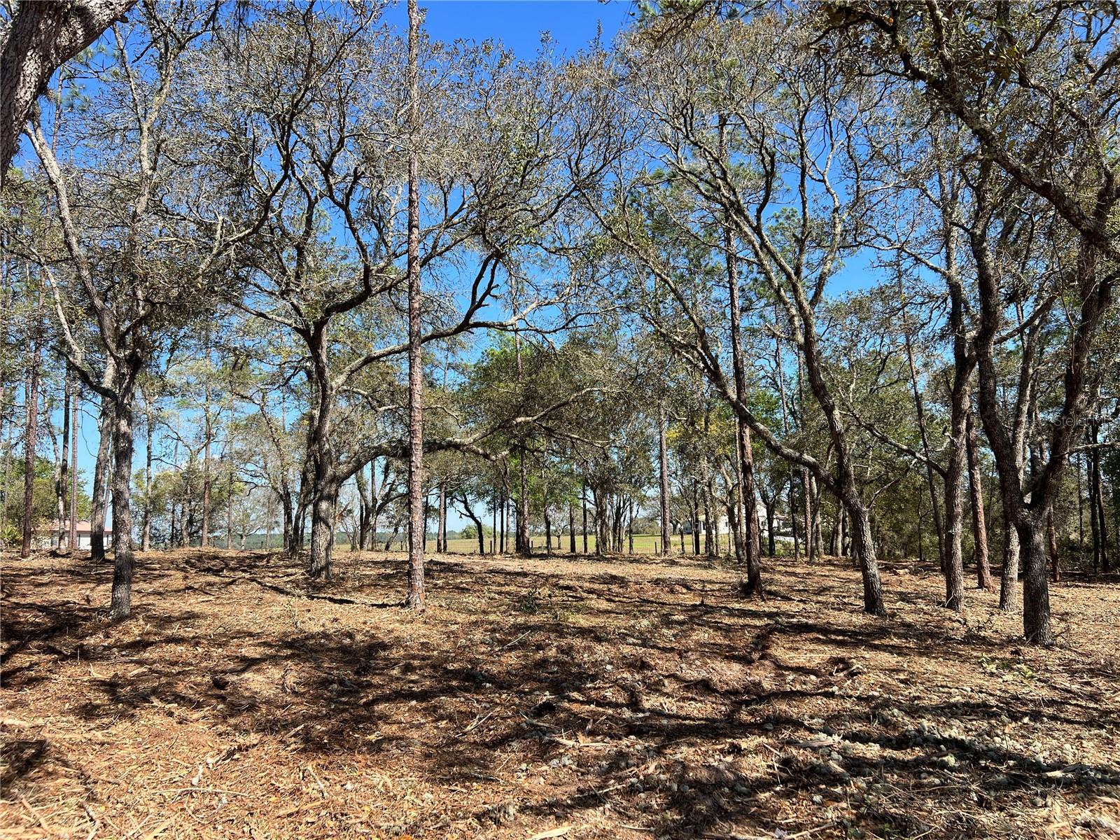 Image 12 of 27 For Lot 25 Timberlake Road
