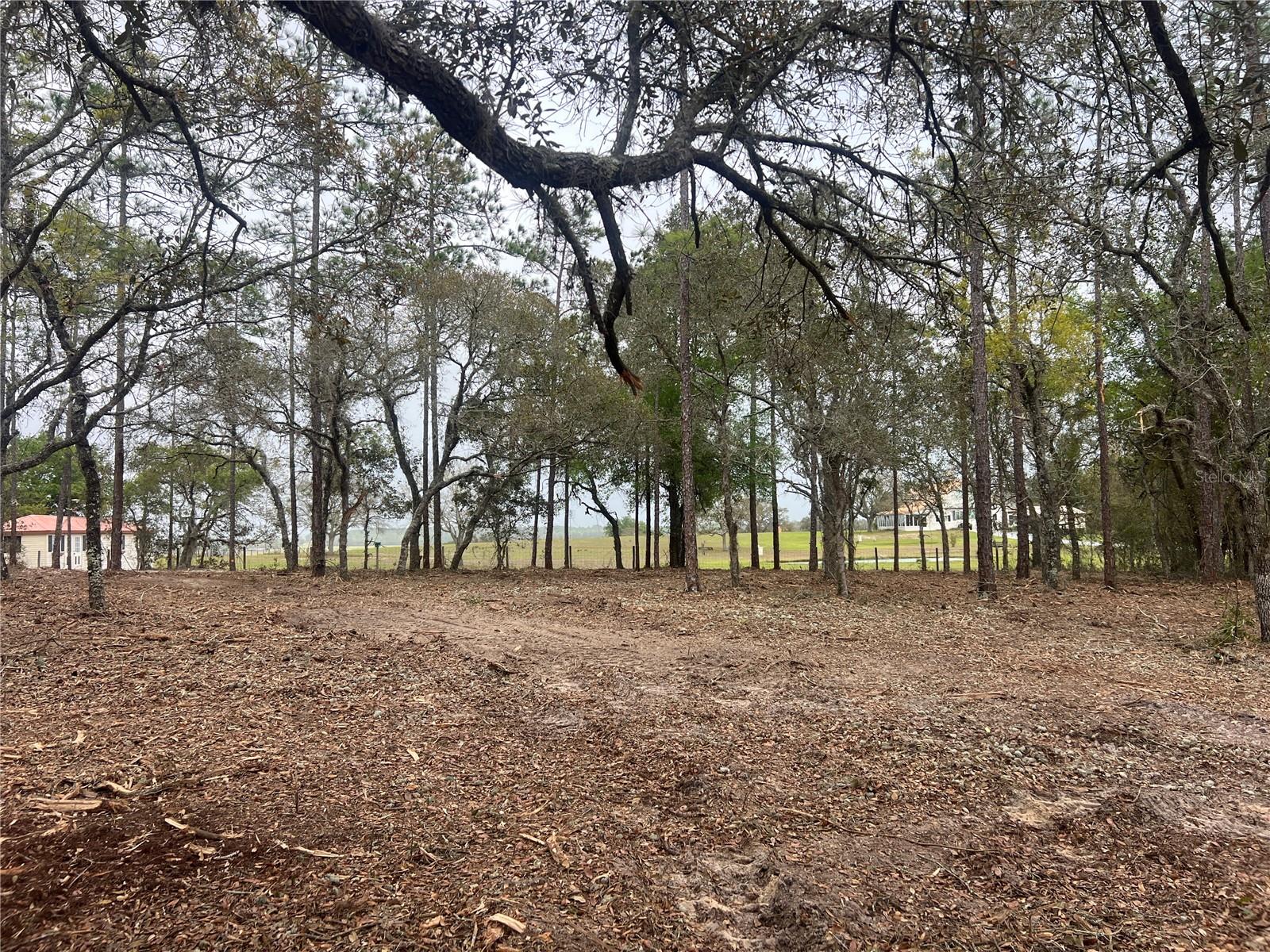 Image 13 of 27 For Lot 25 Timberlake Road