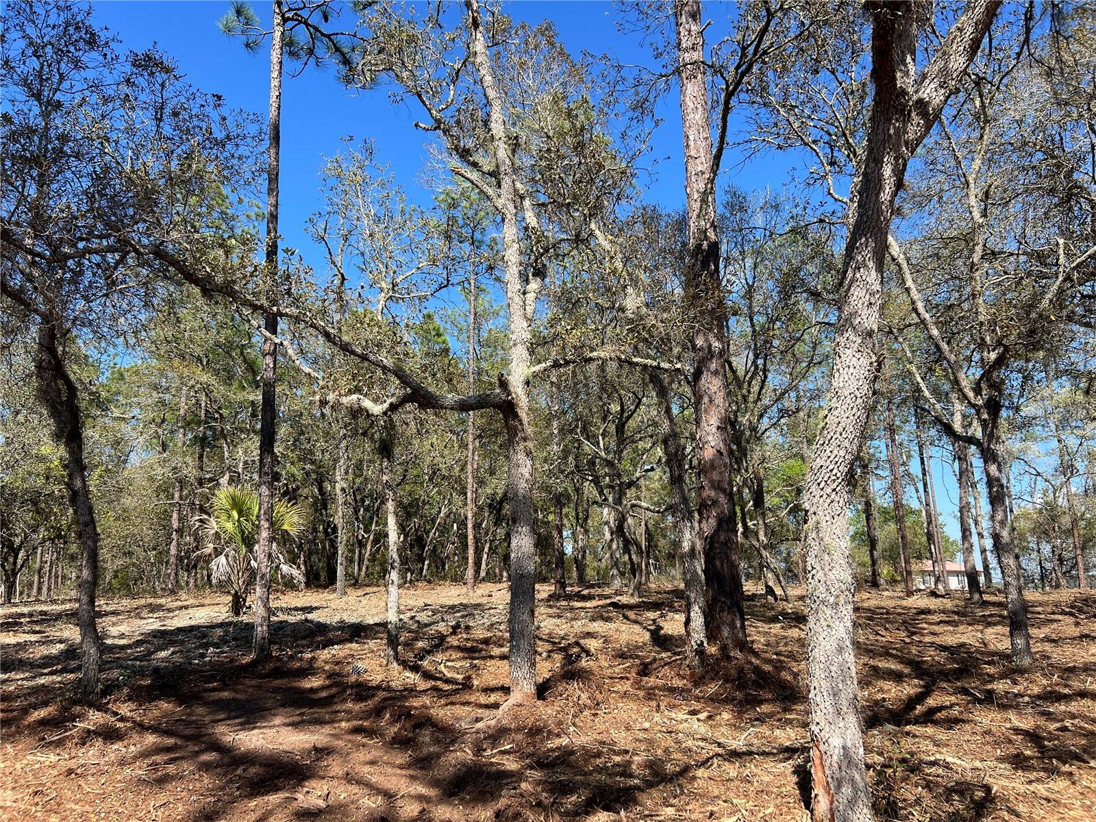 Image 14 of 27 For Lot 25 Timberlake Road