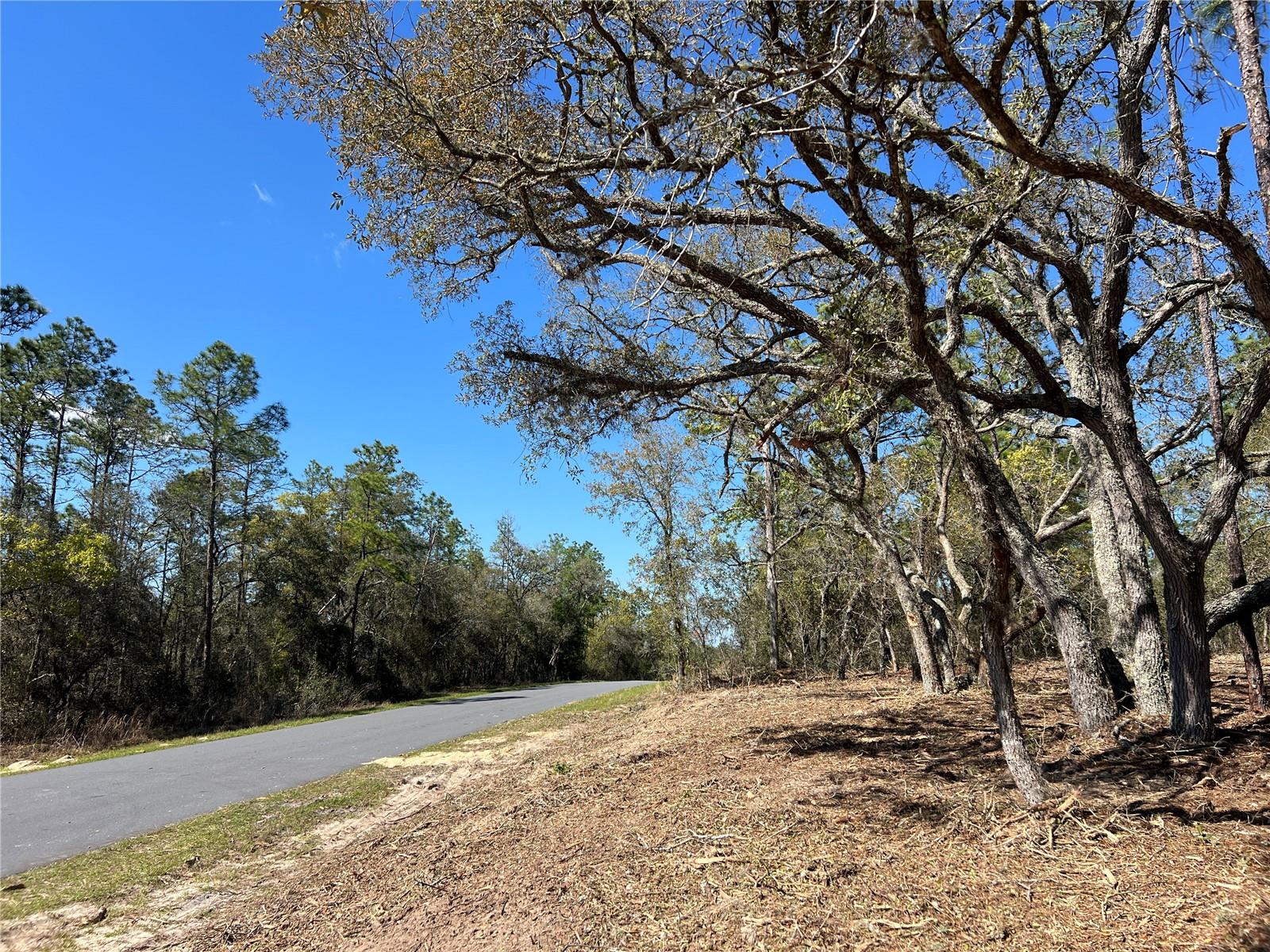 Image 15 of 27 For Lot 25 Timberlake Road