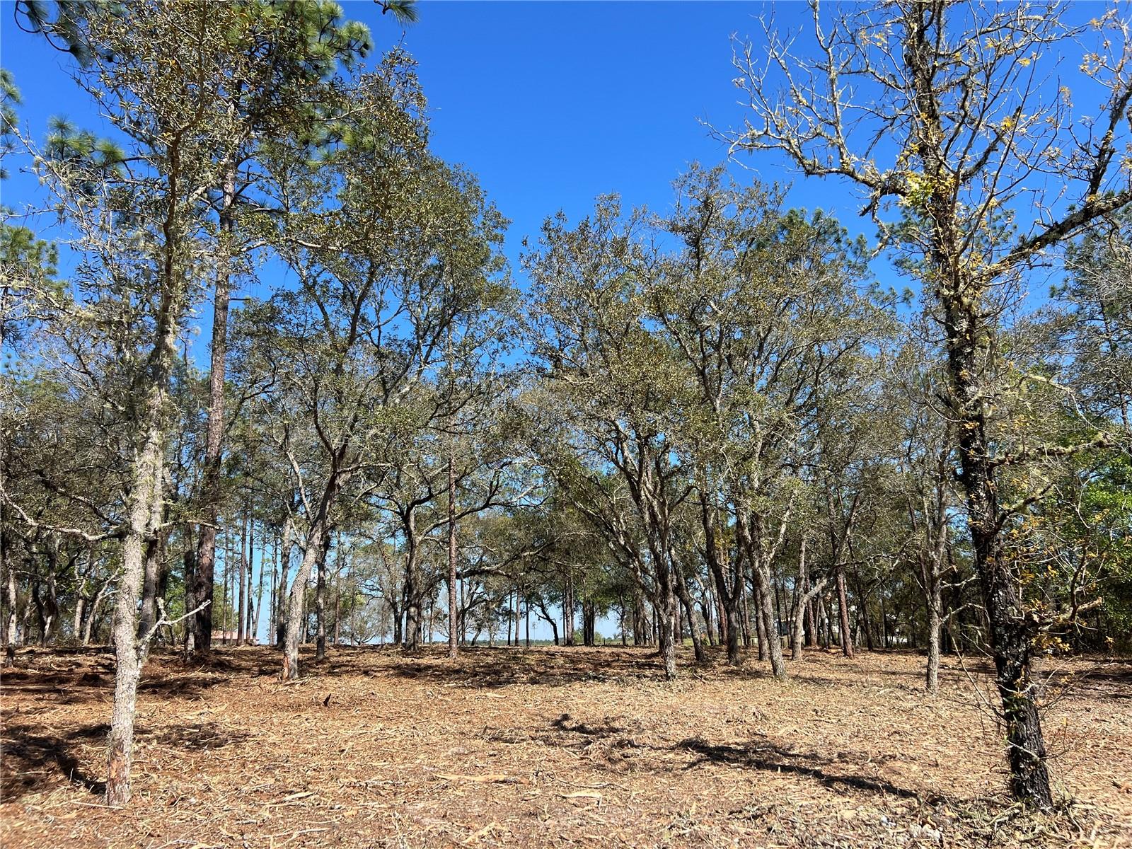 Image 2 of 27 For Lot 25 Timberlake Road