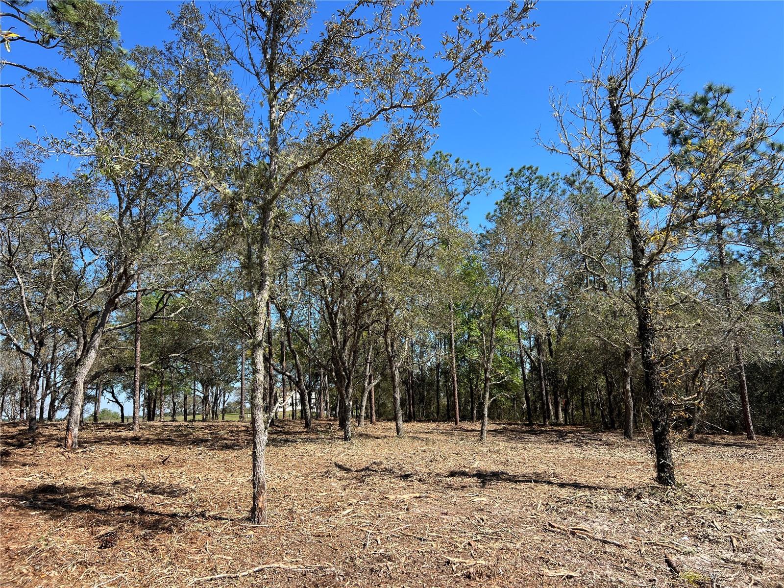 Image 4 of 27 For Lot 25 Timberlake Road