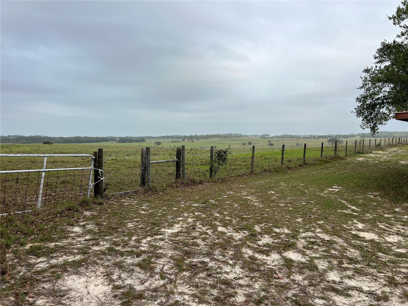 Image 5 of 27 For Lot 25 Timberlake Road
