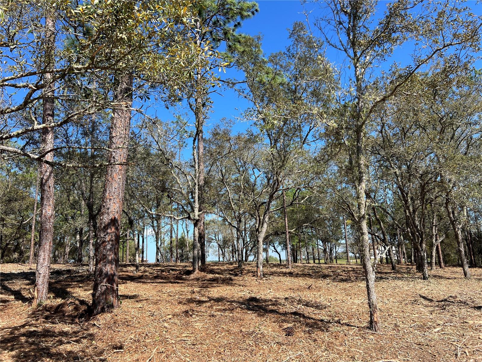 Image 7 of 27 For Lot 25 Timberlake Road