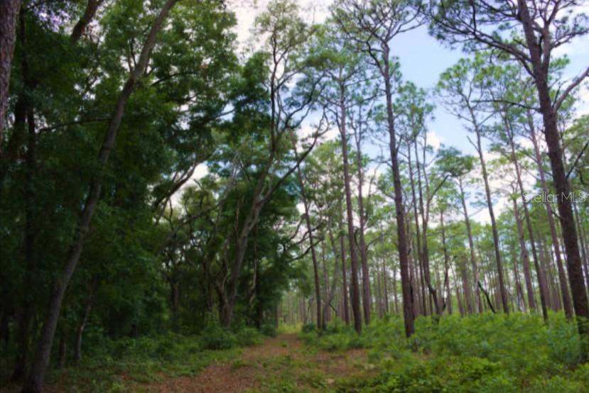 Image 5 of 23 For 14263 252nd Court Road 181