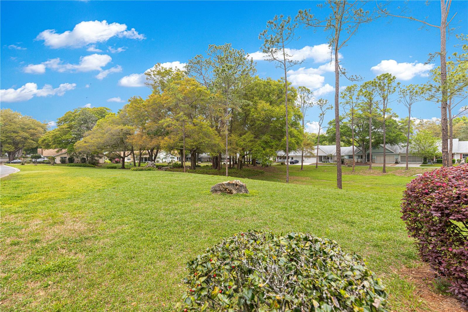 Image 16 of 46 For 8420 92nd Street A