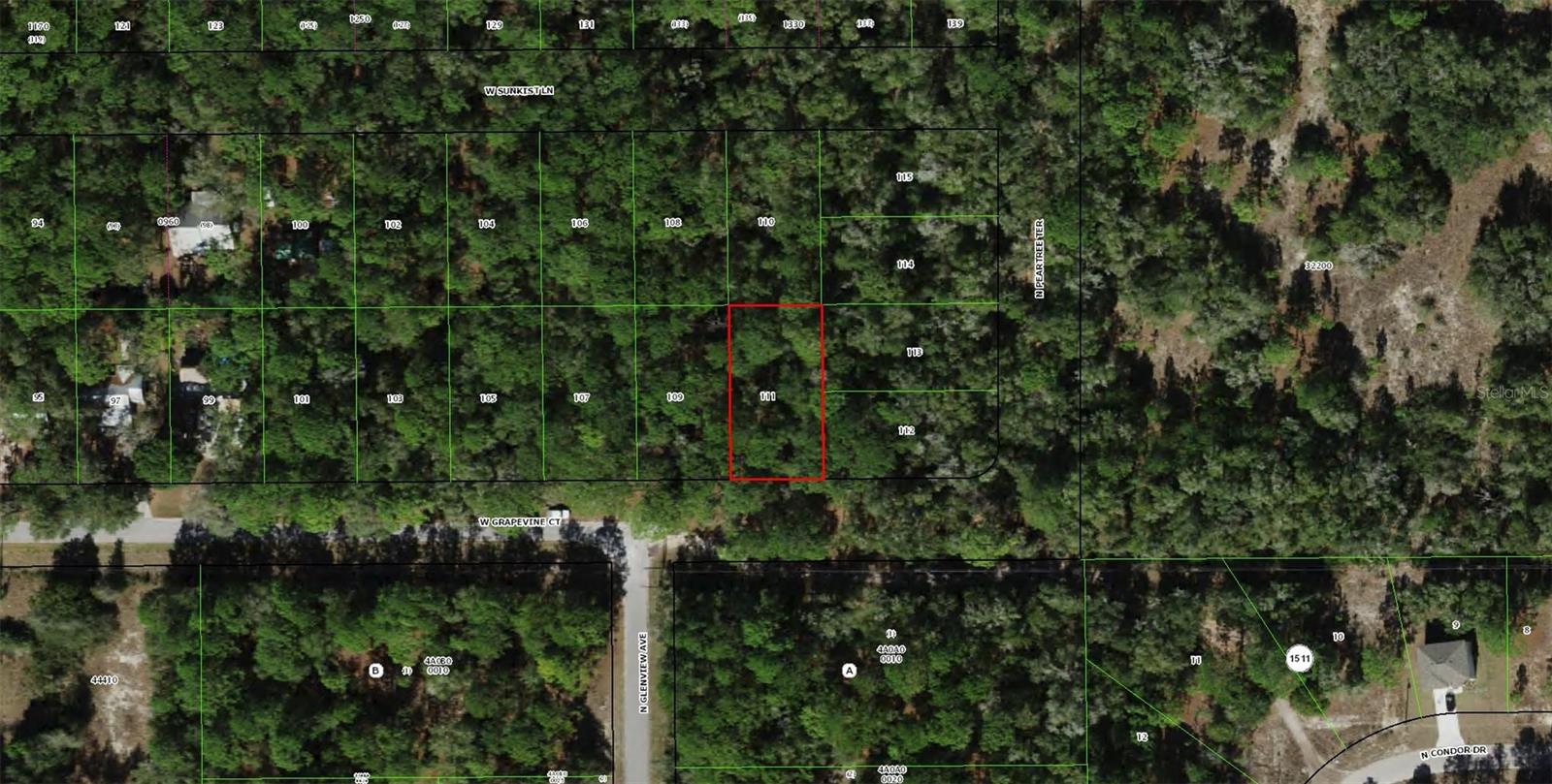 Details for 2797 Grapevine Court, DUNNELLON, FL 34433