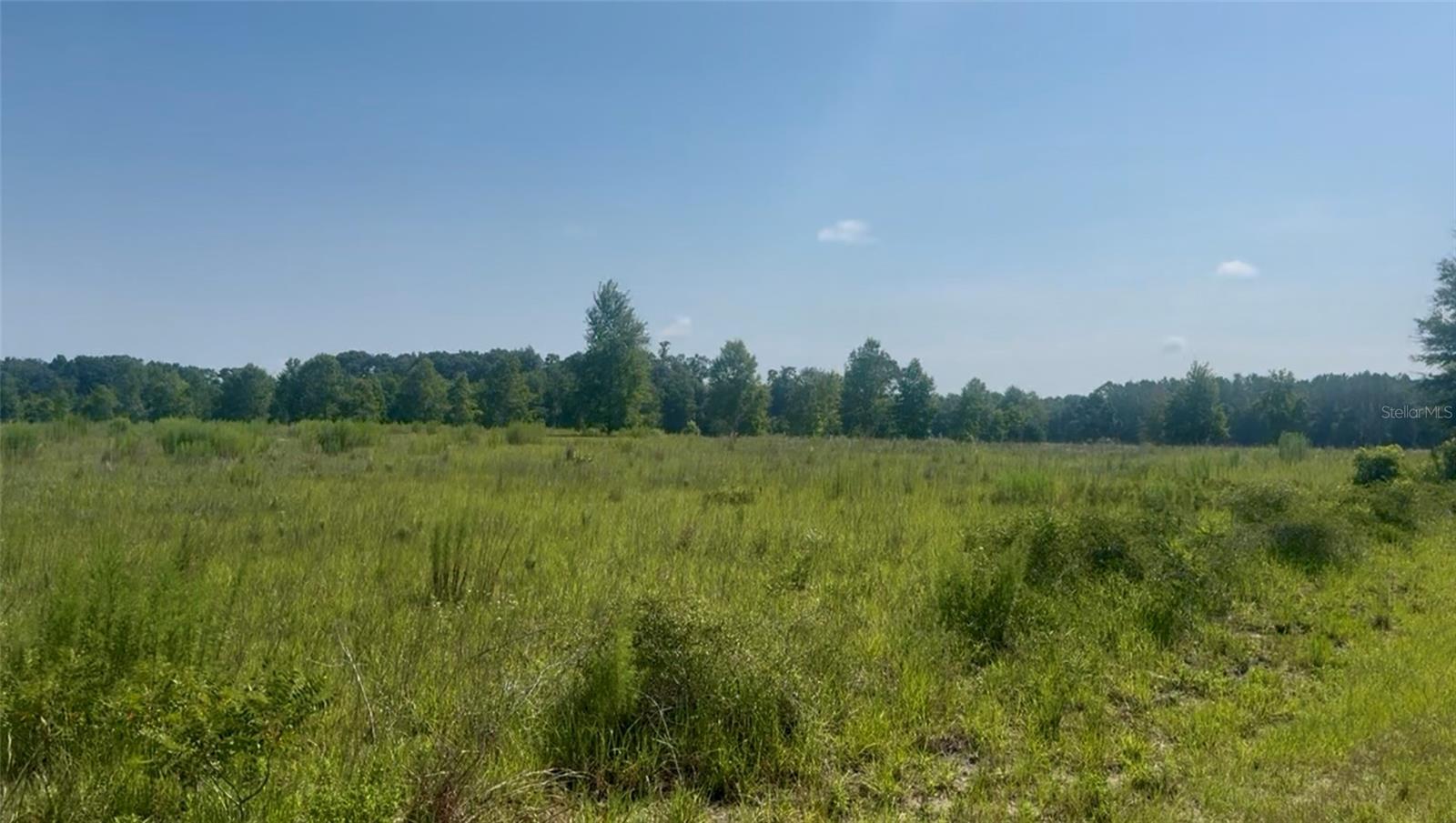 Listing Details for 974 Sherlock Terrace, LAKE CITY, FL 32024