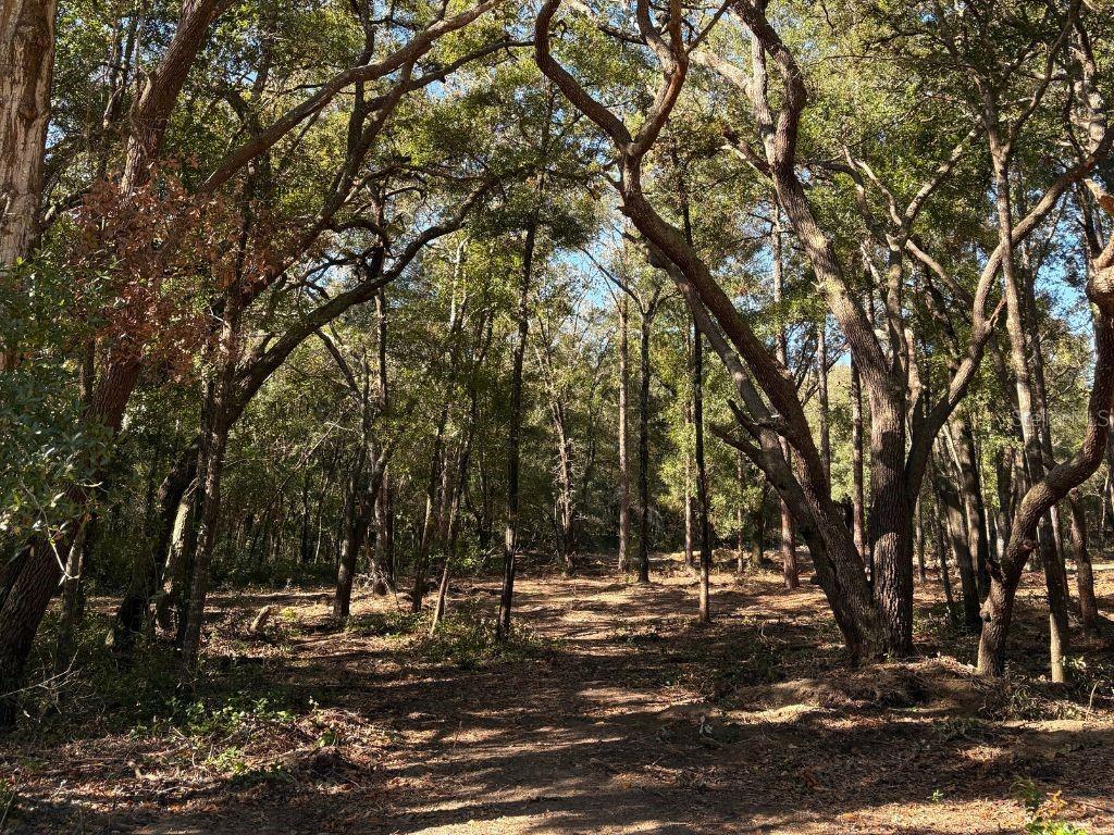 Image 2 of 5 For 10686 Ocean Drive