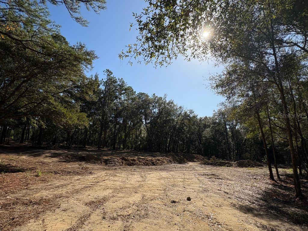 Image 3 of 5 For 10686 Ocean Drive