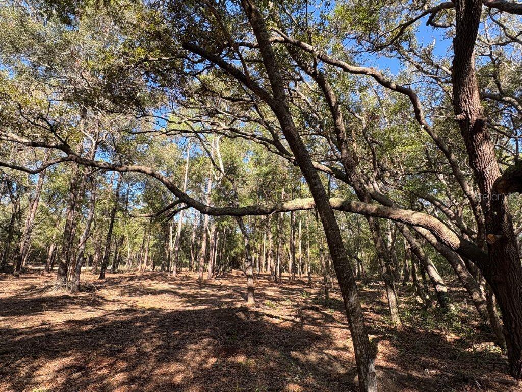 Image 4 of 5 For 10686 Ocean Drive