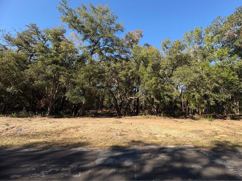 Image 5 of 5 For 10686 Ocean Drive