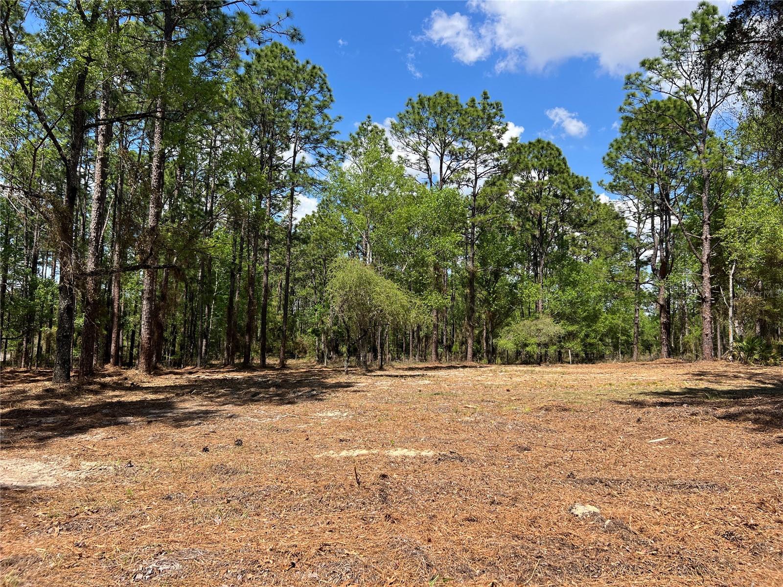 Image 10 of 28 For 24 130 Court