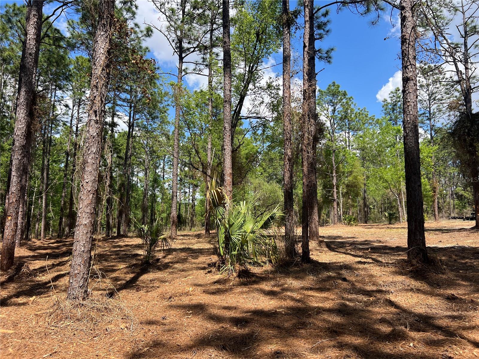 Image 11 of 28 For 24 130 Court