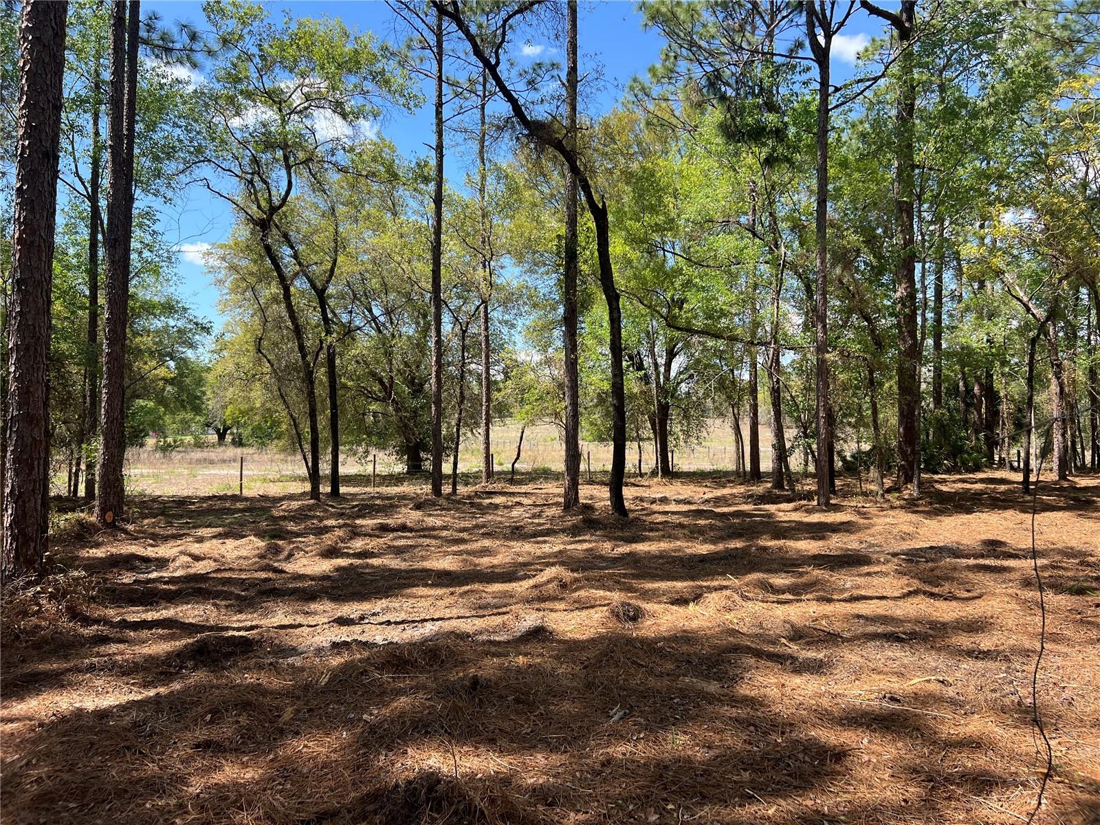 Image 12 of 28 For 24 130 Court