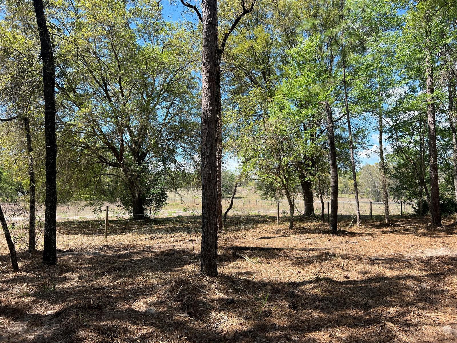 Image 13 of 28 For 24 130 Court