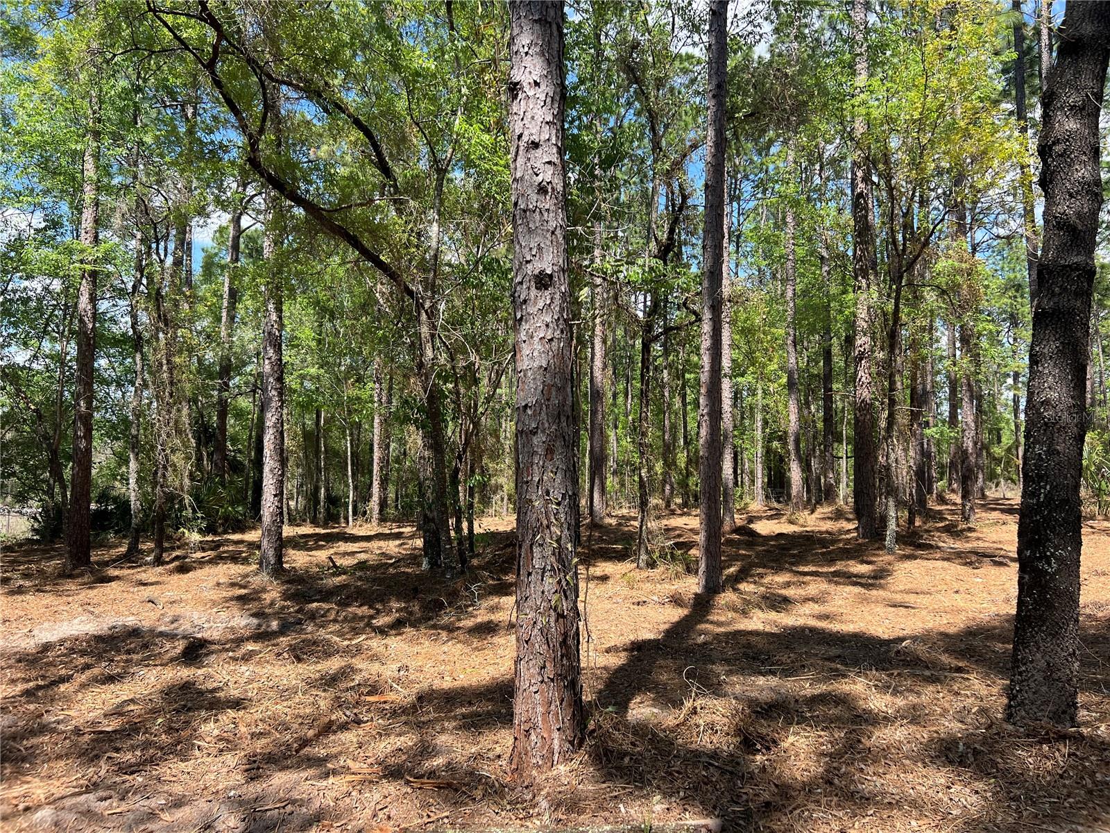 Image 14 of 28 For 24 130 Court