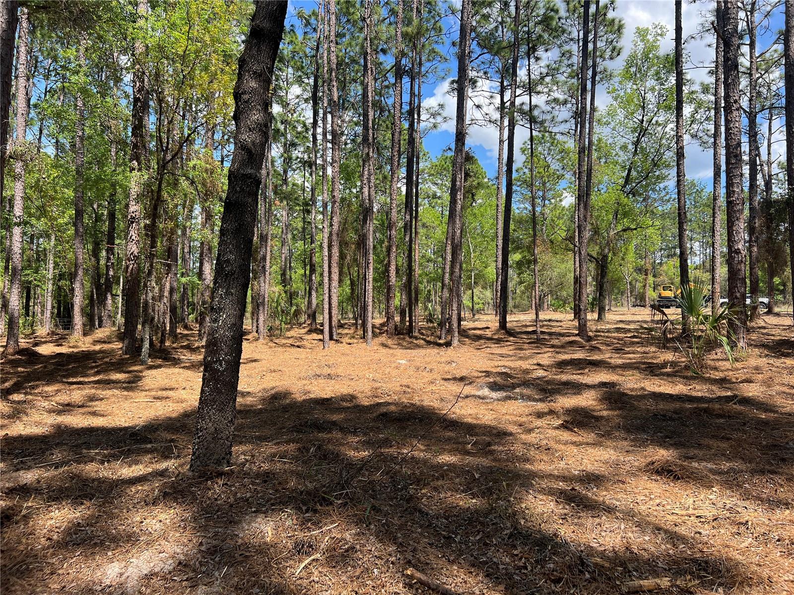 Image 15 of 28 For 24 130 Court