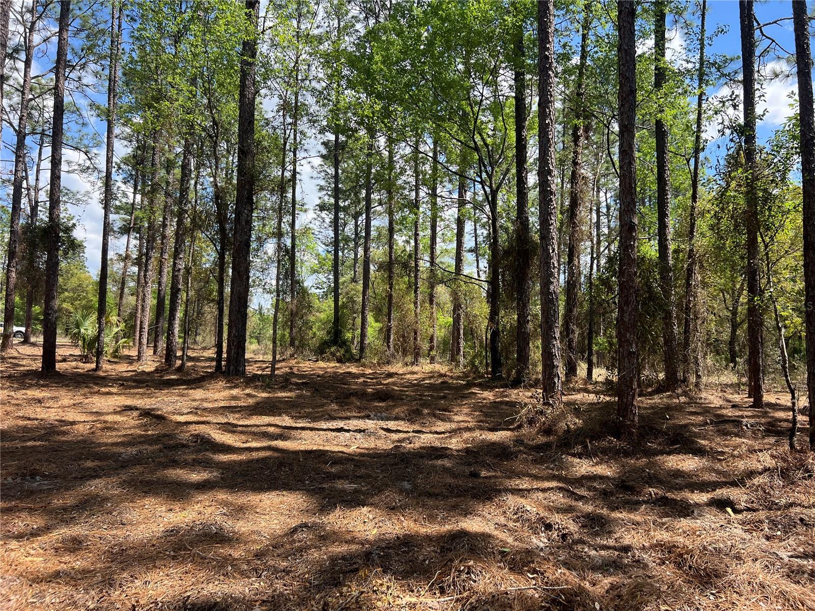 Image 16 of 28 For 24 130 Court