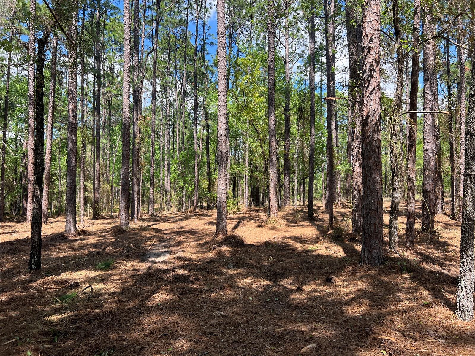 Image 17 of 28 For 24 130 Court