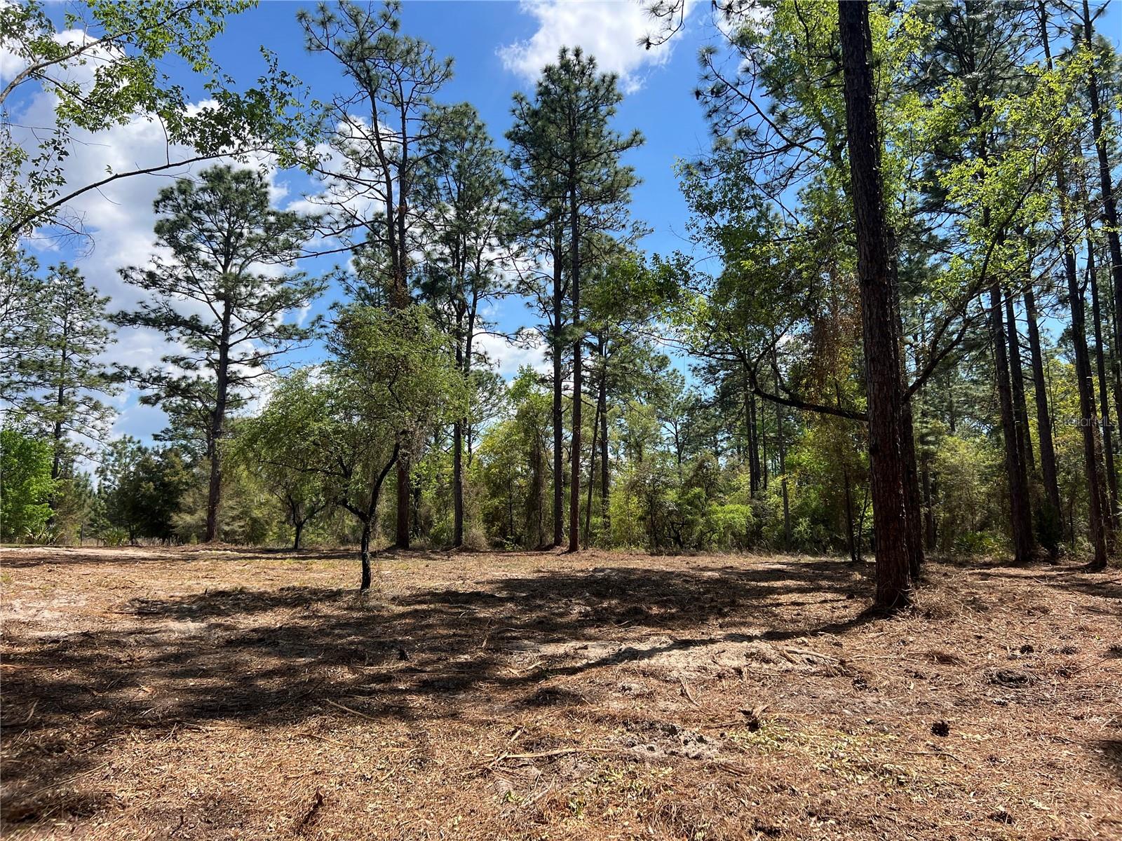 Image 18 of 28 For 24 130 Court